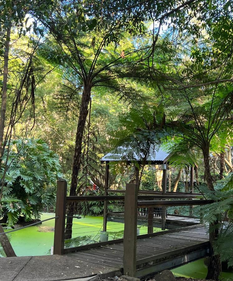 绿洲一英里海滩公寓 尼尔森湾 外观 照片